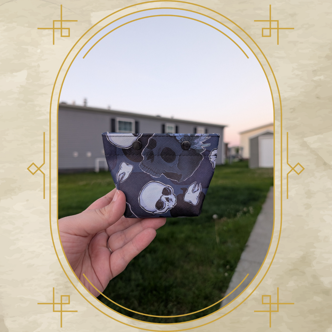Meteorite Pouch